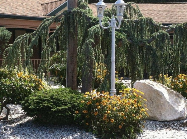 Cheshire Welcome Inn image 8